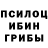 Псилоцибиновые грибы Cubensis Rock Glock