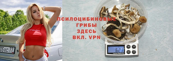 сатива Нязепетровск