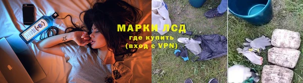 сатива Нязепетровск