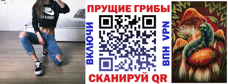 дарк нет наркотические препараты  купить наркотик  Сергач  Галлюциногенные грибы GOLDEN TEACHER 